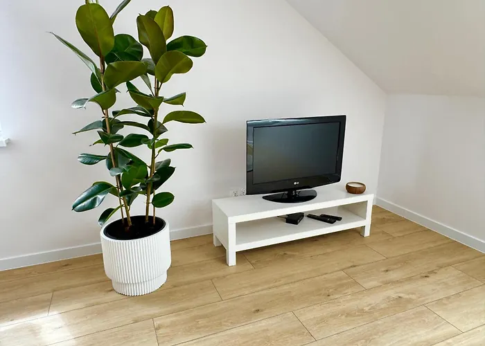 Gray Sulnowo Apartment *