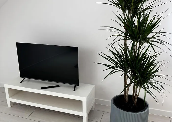 Gray Sulnowo Apartment