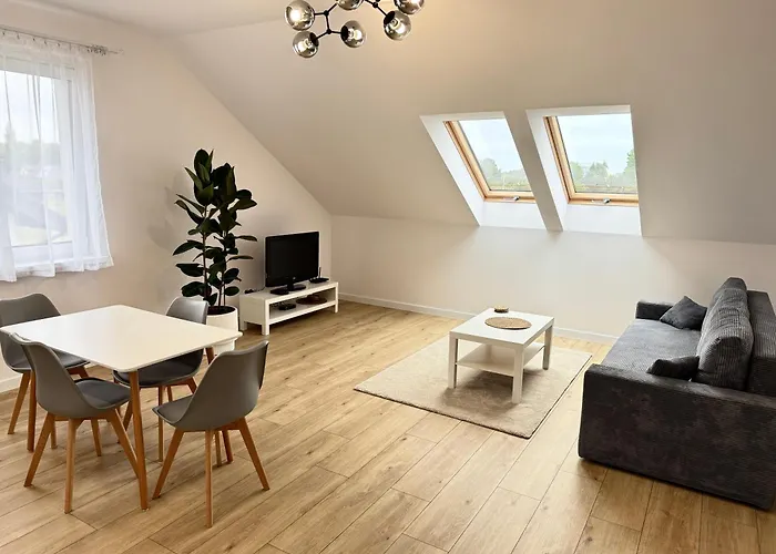 Gray Sulnowo Silnowo